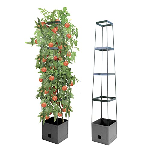 Bio Green plantenkweektoren „Maxitom” met klimhulpmiddel en wateropslagtank van 2 liter   inhoud 16 liter   hoogte 150 cm   kleur antraciet, 26,01 x 26,01 x 8,99 cm