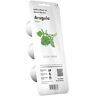 Click and Grow Click & Grow Rucola Refill 3-Pack