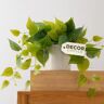 FOREVER LEAF Faux planten binnen, kunstmatige planten voor huisdecoratie binnen, pothos kleine nepplanten valplanten decor en decoratieve planten, valse planten en kunstplanten voor binnen en buiten witte pot