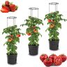 botle 3 x tomatenplant bloempot voor tomaten set, 3 stuks, plantenbak, 28 l, tomatenteler, tomatenpot, pot, groenten, tomaten wassen