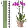 WIVAYE 10 Stks Plant Support Stakes met 15 Stks Plant Clips, 24 "Tall Single Stam Flower Stakes, Buigbare Plastic Coated Garden Plant Stakes voor Amaryllis Orchidee Lelie Rose Tomaten