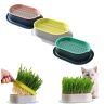 BIRKIM Cat Grass Planter,Soilless Culture Cat Grass Planting Container,Hydrocultuur Duurzaam Cat Grass Planting Kit,Goed voor Cat Grass Seed Kieming (3 stuks-B)
