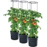 PAFEN 3x tomaten-plant plantenbak 392 x 1530 mm Tomato Grower Planten tomaten tuin terras