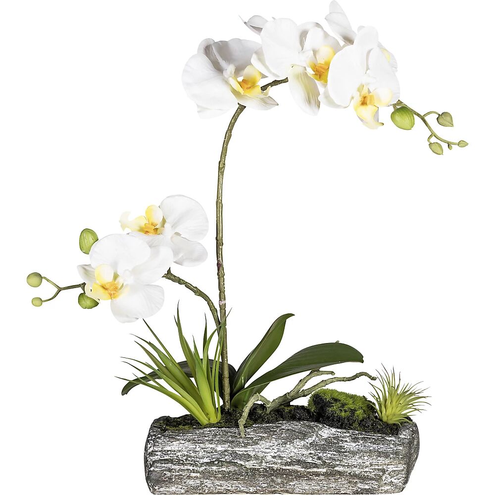 Phalaenopsis-arrangement in een polyresin schaal, hoogte 400 mm
