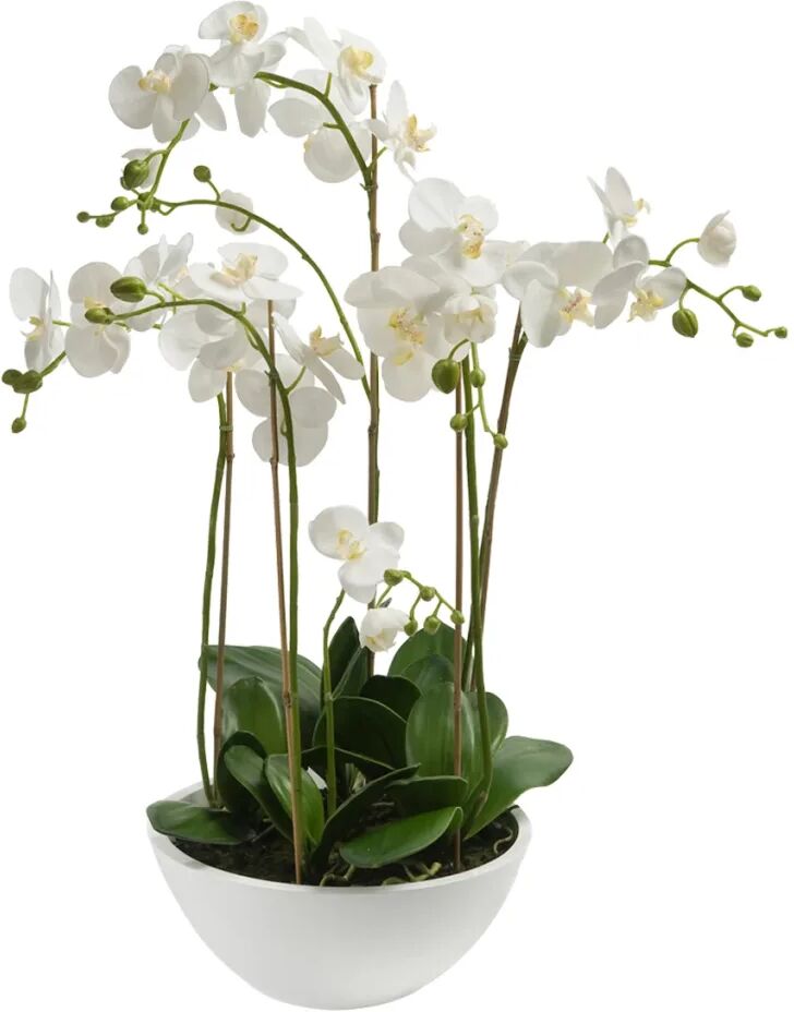 Emerald Kunstplant orchidee wit 80 cm 20.335C