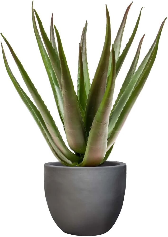 Emerald Kunstig aloe vera i potte 50 cm