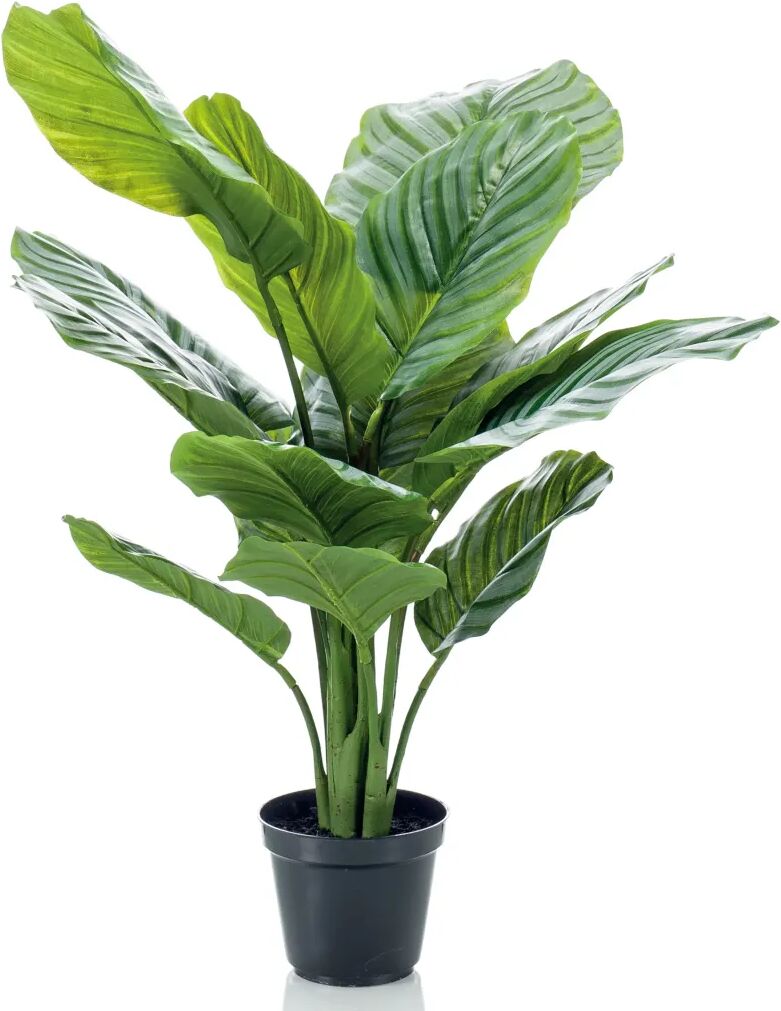 Emerald Kunstig plante Calathea orbifolia i potte 60 cm