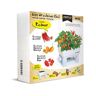 Batlle Horta Urbana Seed Box Picante