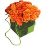 Lizgarden Arranjo com Saco de Rosas Cor de Laranja Lambada