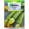 Papillon Sementes de courgette Romanesco 5G