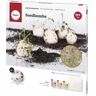 Rayher Diy Kit Bombas de Sementes e Flores Abelhas e Borboletas