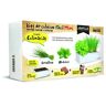 Batlle Horta Urbana Seed Box Mini Culinária