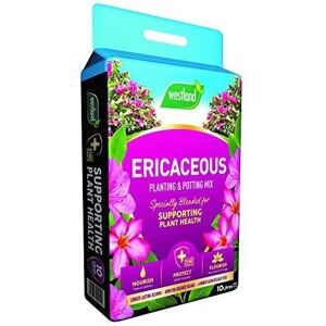 Westland 11400006 Ericaceous Compost, Pink