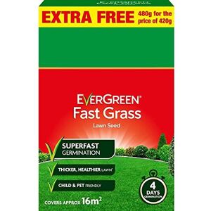 FERRIS   Miracle-GRO Evergreen Fast Grass Lawn Seed   Sprouts in 4 Days - Fast G