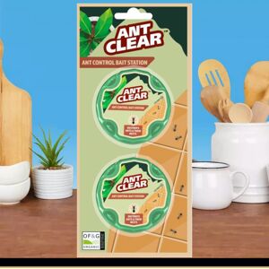 Evergreen Ant Clear Ant Bait Stations Ready To Use Ant and Nest Control 2 x 10g