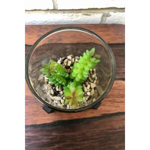 Joy Faux Bead Plant In Glass Pot With Stand Unisex