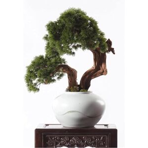 KEERBIGU Evergreen Artificial Bonsai Tree and Long-lasting Simulation Plant with Ceramic Flower Pot Fake Tree for Desktop Display