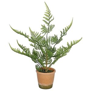 Evergreen Direct Artificial Potted Fern Foliage Plant - 33cm High - Perfect for Office and Home Interior - Decorative Plastic Foliage - For Indoor Home Kitchen And Office Stem