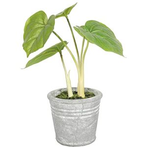 Evergreen Direct Artificial Taro Decorative Plant - 22cm High - In Stone Look Pot - For Home and Indoor Interior - Home Kitchen And Office Stem