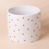 Leaf Gold Dot Planter Plant Pot 18 x 18 x 15cm