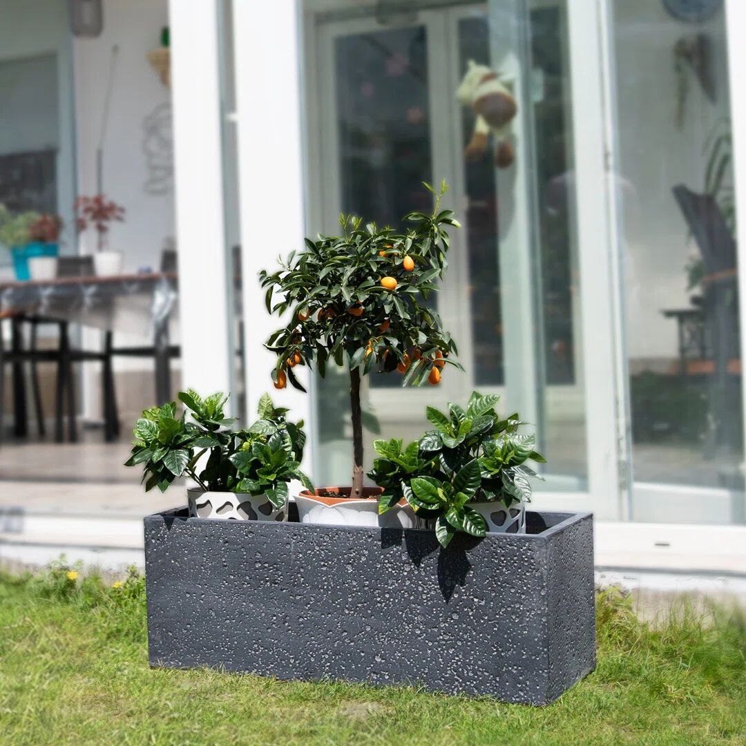 Photos - Flower Pot Ebern Designs Domitille Fibreglass Planter Box 28.0 H x 76.0 W x 28.0 D cm