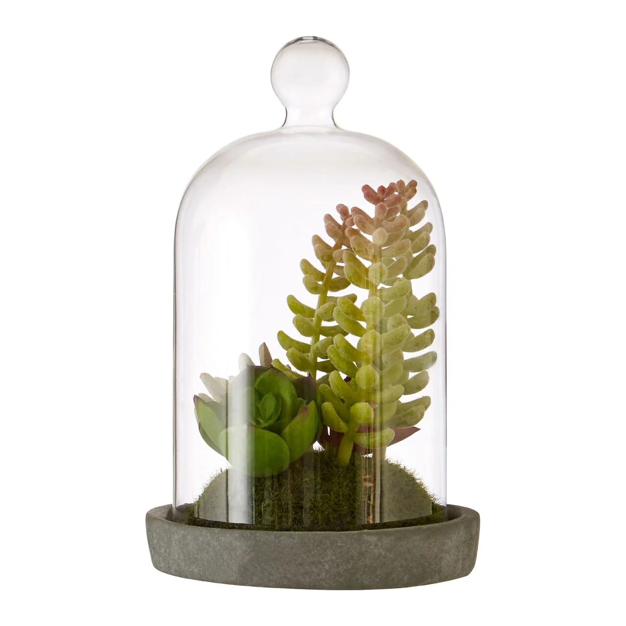 HoF Living Faux Succulent Plant In Glass Dome