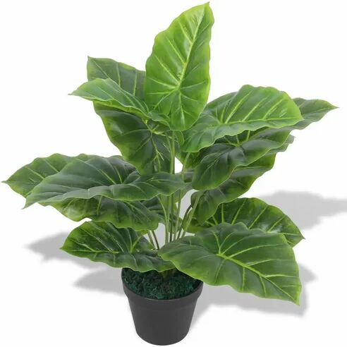 Bay Isle Home Taro Floor Ficus Plant in Pot Bay Isle Home  - Size: 60cm H