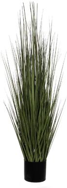 The Seasonal Aisle Artificial Reed Grass in Pot The Seasonal Aisle Size: 120cm H x 35cm W x 35cm D  - Size: 66.04cm H x 45.72cm W x 1.91cm D