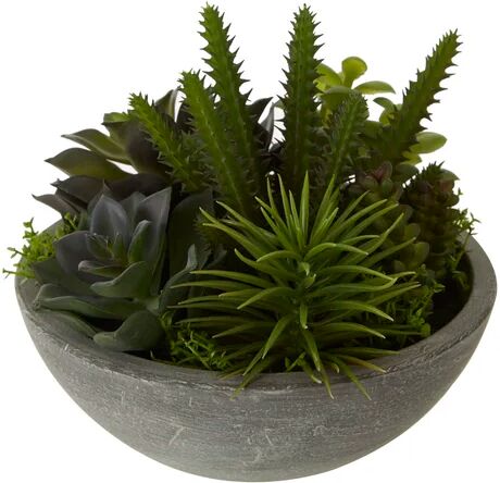 Rio 8cm Artificial Succulent Plant in Pot Williston Forge  - Size: Rectangle 140 x 200cm