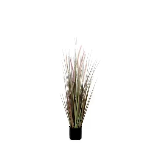 The Seasonal Aisle Onion Grass in Pot The Seasonal Aisle Size: 150cm H x 17cm W x 17cm D  - Size: 70cm H X 18cm W X 18cm D