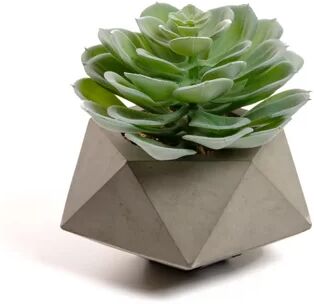 The Seasonal Aisle 13cm Artificial Succulent in Pot (Set of 6) The Seasonal Aisle  - Size: