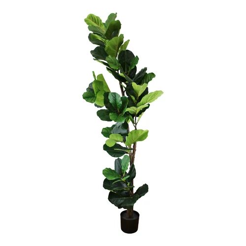 The Seasonal Aisle 165cm Artificial Fiddle Leaf Fig Tree in Pot The Seasonal Aisle  - Size: 124cm H X 78cm W X 42cm D