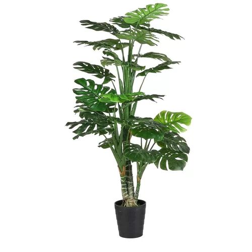 The Seasonal Aisle Philodendron Plant in Pot The Seasonal Aisle  - Size: Medium
