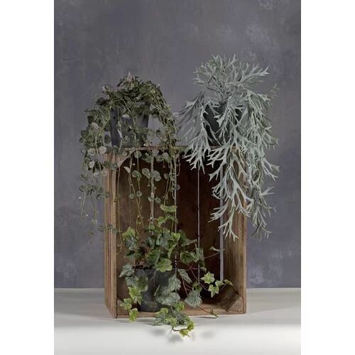 The Seasonal Aisle Hedera Artificial Foliage Plant in Pot The Seasonal Aisle  - Size: