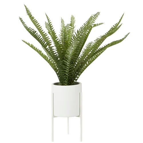 Brayden Studio 30cm Artificial Fern Plant in Pot Brayden Studio  - Size: 76cm H x 76cm W