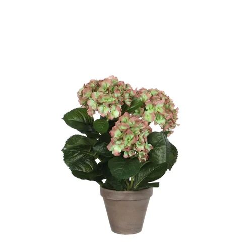 The Seasonal Aisle Artificial Flowering Plant in Pot The Seasonal Aisle Flower Colour: Green, Size: 40cm H x 35cm W x 35cm D  - Size: Rectangle 200 x 290cm