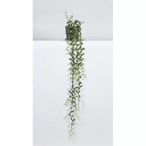 The Seasonal Aisle Dischaidia Plant in Pot The Seasonal Aisle Size: 105cm H x 30cm W x 30cm D  - Size: 39cm H X 23cm D
