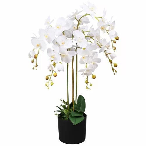 Bay Isle Home Floor Flowering Orchid Plant in Pot Bay Isle Home Flower Colour: White  - Size: 90cm H x 14cm W