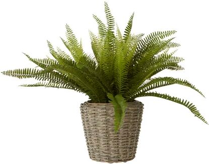 Bloomsbury Market 25cm Artificial Fern Plant in Planter Bloomsbury Market  - Size: