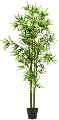 The Seasonal Aisle Floor Bamboo Plant in Pot The Seasonal Aisle  - Size: Rectange 200 x 290cm