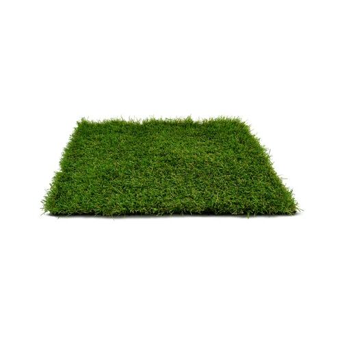 The Seasonal Aisle 3.5cm Artificial Grass The Seasonal Aisle Size: 3.5cm H x 1600cm W x 100cm D  - Size: 500cm H x 500cm D