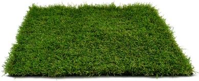 The Seasonal Aisle 3.5cm Artificial Grass The Seasonal Aisle Size: 3.5cm H x 300cm W x 100cm D  - Size: 3.5cm H x 800cm W x 100cm D