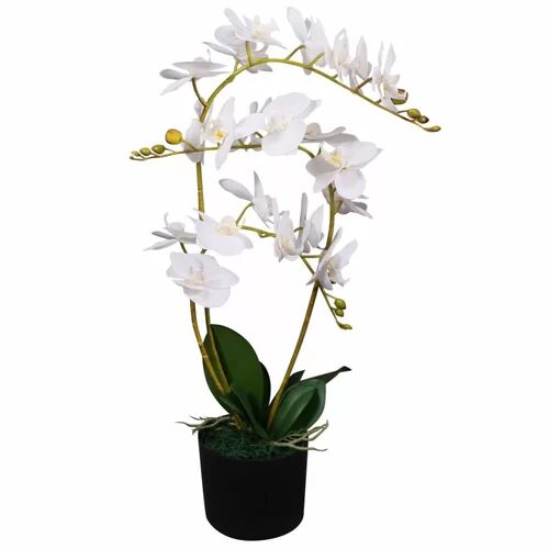 Bay Isle Home Floor Orchid Flowering Plant in Pot Bay Isle Home  - Size: Medium