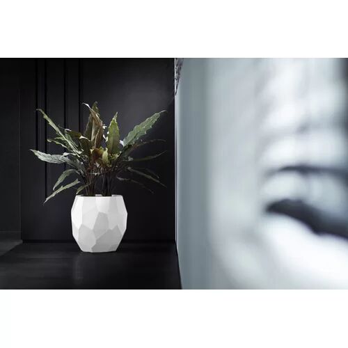ELHO Plastic Plant Pot ELHO Colour: White, Size: 38.1cm H x 39.5cm W x 39.5cm D  - Size: 59cm H x 79cm W x 29.5cm D