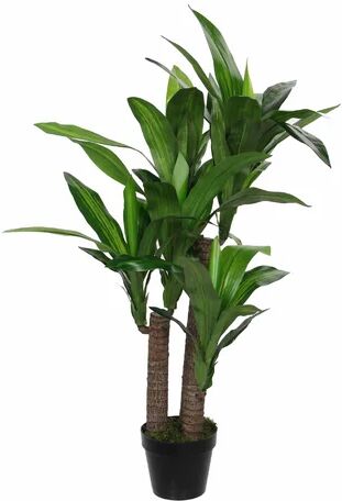 The Seasonal Aisle 81cm Artificial Dracaena Tree in Pot The Seasonal Aisle  - Size: