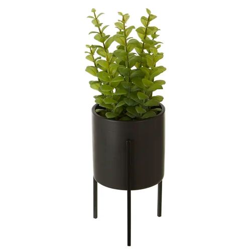 Brayden Studio 10cm Artificial Herbs Plant in Pot Brayden Studio  - Size: Rectangle 107 x 168cm