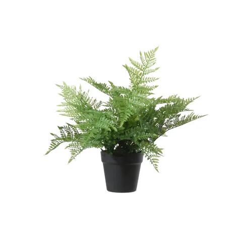 The Seasonal Aisle 36cm Artificial Fern Plant in Pot The Seasonal Aisle  - Size: 45.72cm H x 45.72cm W x 3.81cm D