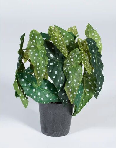 The Seasonal Aisle 37" Artificial Foliage Plant in Pot The Seasonal Aisle  - Size: Rectangle 201 x 274cm