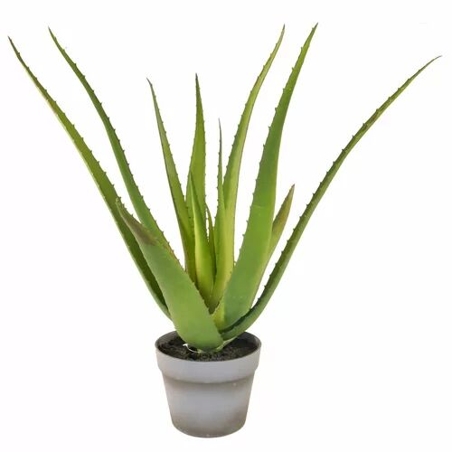 The Seasonal Aisle 50cm Artificial Aloe Vera Succulent in Pot The Seasonal Aisle  - Size: 85cm H X 120cm W X 45cm D