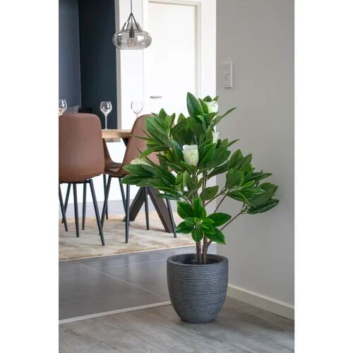 The Seasonal Aisle 75cm Artificial Magnolia Plant in Planter The Seasonal Aisle  - Size: Extra Tall